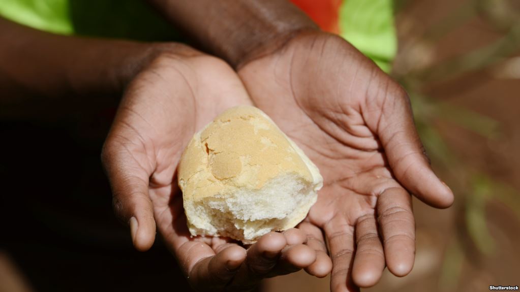 الأمم المتحدة: 50 مليون عربي جائعون بينهم موريتانيون