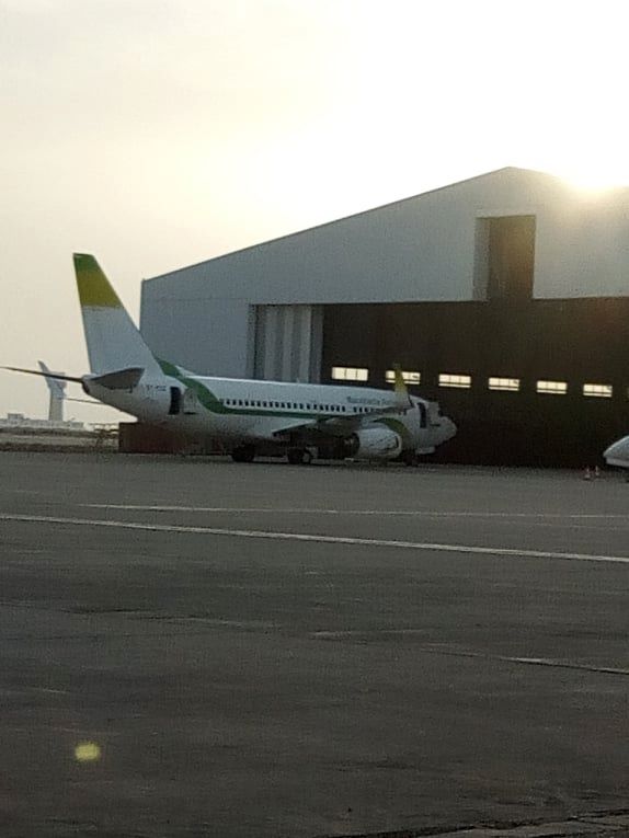 ما سر الكميات الكبيرة من السمك التي تنقل أسبوعيا في (…)