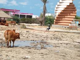 ملف عن المشاريع الوهمية التي أعلن عنها ولد عبد العزيز&nbsp;(…)