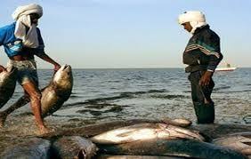 صحيفة صينية تنشر أرقاما صادمة عن شركة بولي هوندونغ&nbsp;(…)