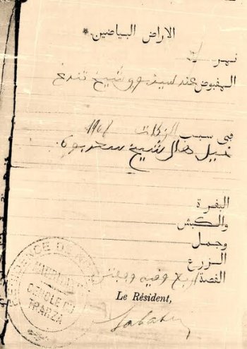 تقاليد الفروسية في البلاد السائبة(موريتانيا)