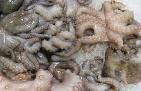 قبل أيام من مغادرته الحكم عزيز يستنزف  المخزون من الأخطبوط