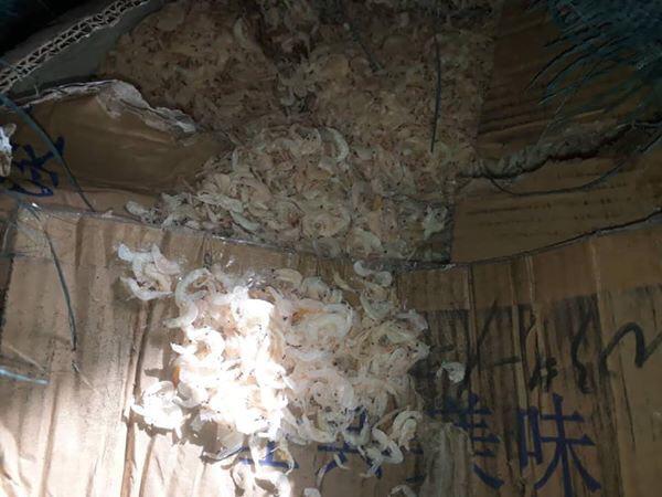 هل لايمكن فعلا لولد الغزواني المساس بمصالح عزيز المضرة&nbsp;(…)