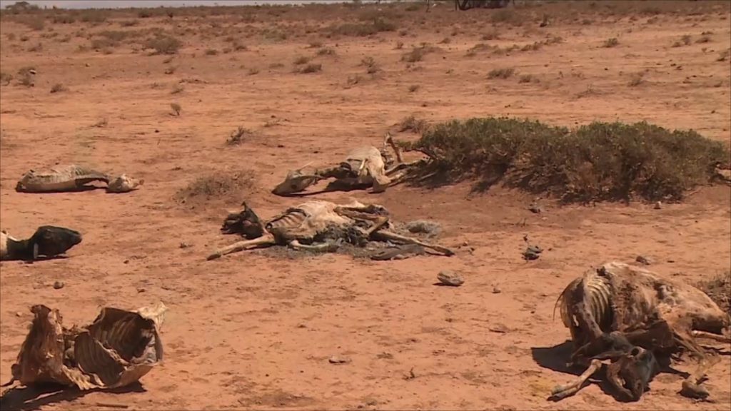 خبراء دوليون: المجاعة تهدد موريتانيا خلال أشهر