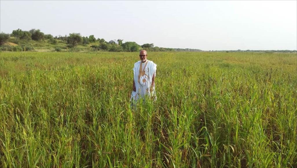 موريتانيا : 