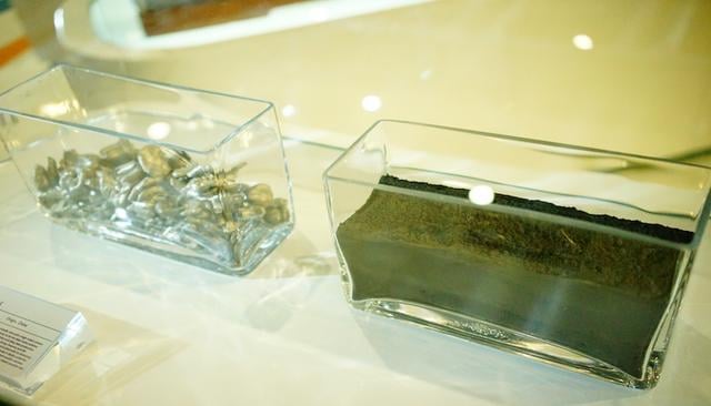 موريتانيا تغرد خارج السرب و تسبح عكس التيار(صور)