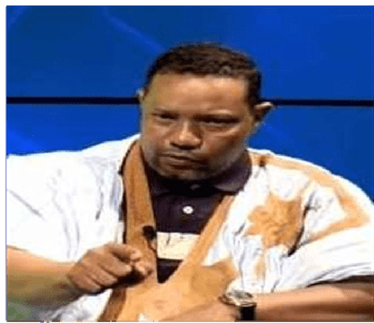 من أوقف التعديلات الدستورية ؟! وما هو مصير موريتانيا في&nbsp;(…)