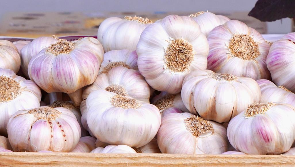 موريتانيا تتوجه لاستيراد الثوم من إسبانيا بدلا من الصين