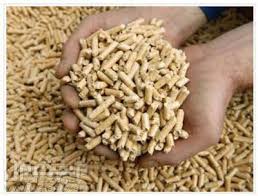 شراء الحكومة لمادة 