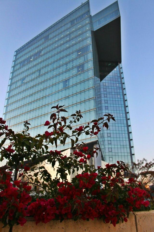 اتصالات المغرب توفر الإنترنت مجانا دعما للتدريس عن بعد&nbsp;(…)