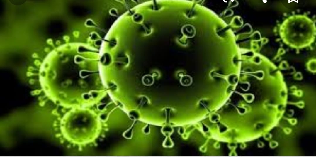 من دلالات كورونا