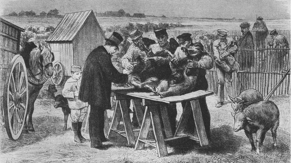 عالم وعضة كلب.. هكذا نجت البشرية من مرض قتل كل من أصاب