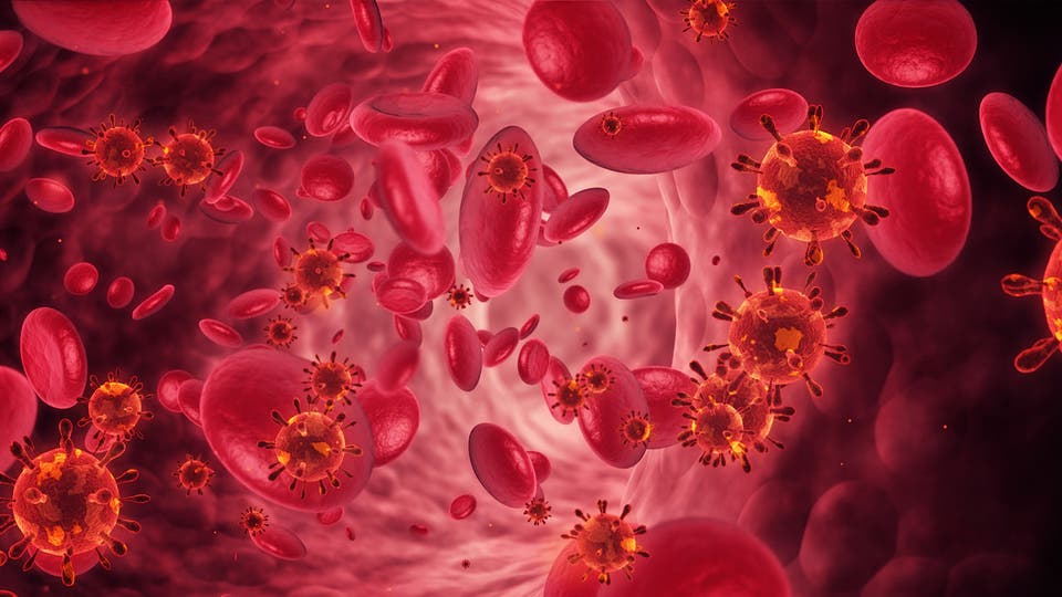 دراسة تنسف كل ما نعرف عن كورونا.. هكذا يقتل خلايا الجسم