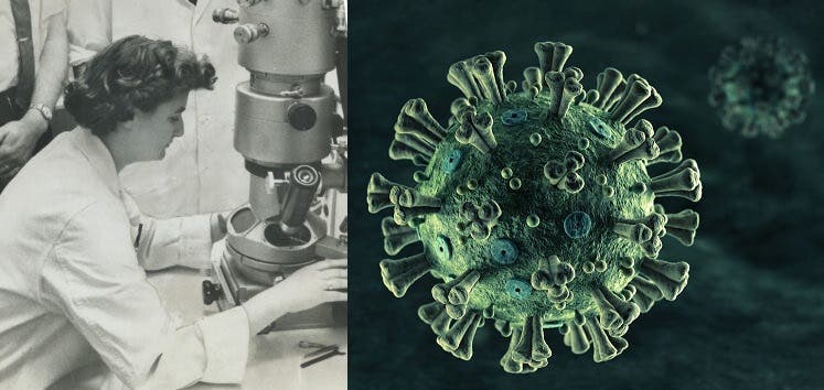 قصة المرأة التي اكتشفت كورونا.. لم تكمل تعليمها(صورة)