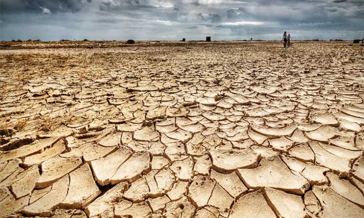 المنمون يتساءلون أين العلف ؟