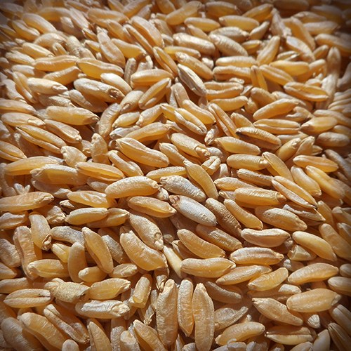 طريقة توزيع العلف مثل طريقة توزيع 