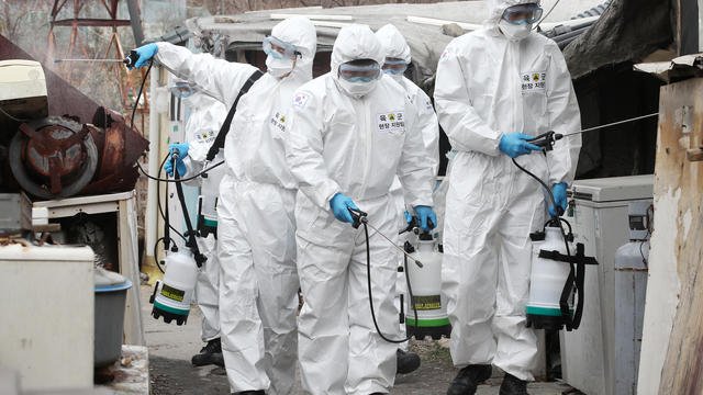 لجنة محاربة كورونا فاشلة ويجب سحب الصلاحيات منها