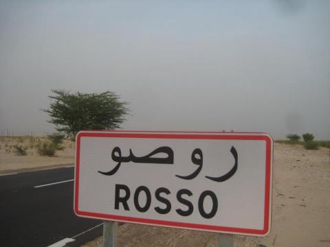 الإعلان فى روصو عن شفاء 4 حالات وإصابتين جديدتين