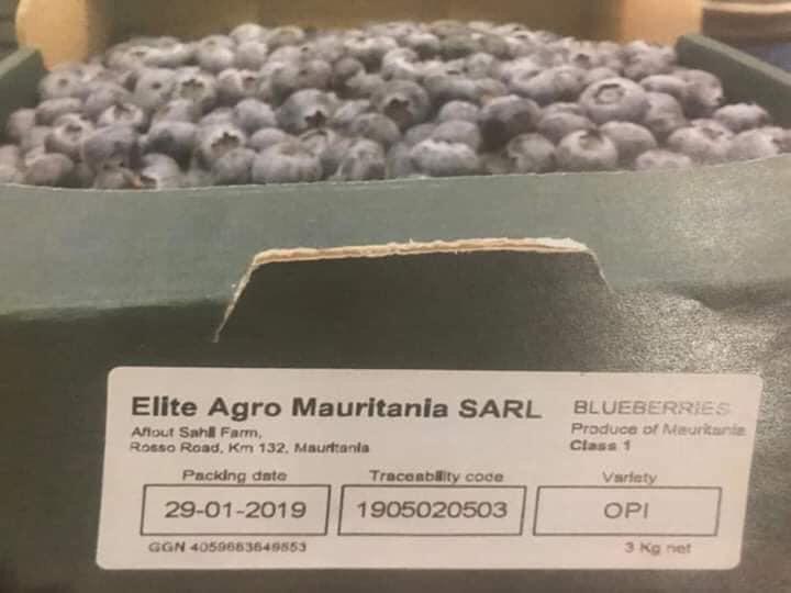 مصادر اقتصادية: الخضار والفواكه التي تصدرها موريتانيا (…)