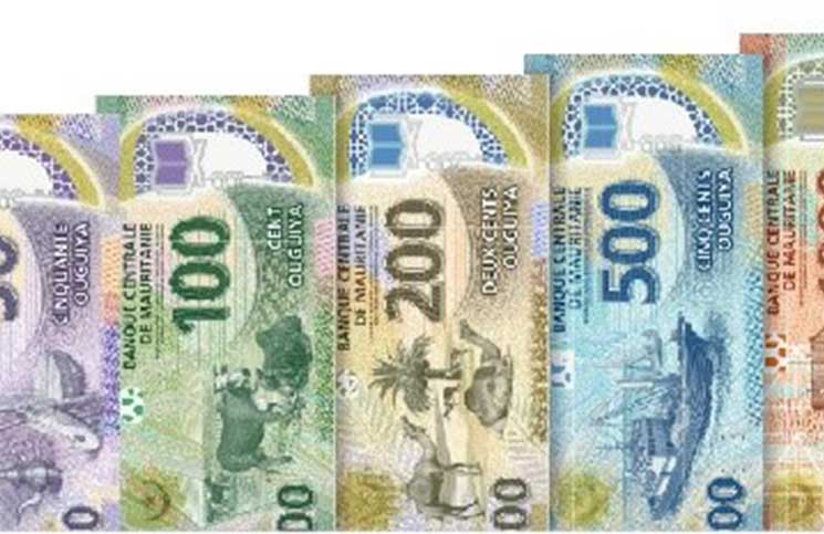 استبدال العملة: جريمة عزيز  الأخطر / سيدي علي بلعمش