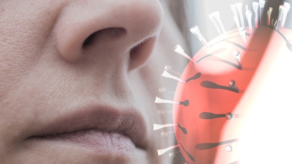 آخر الدراسات: كورونا 