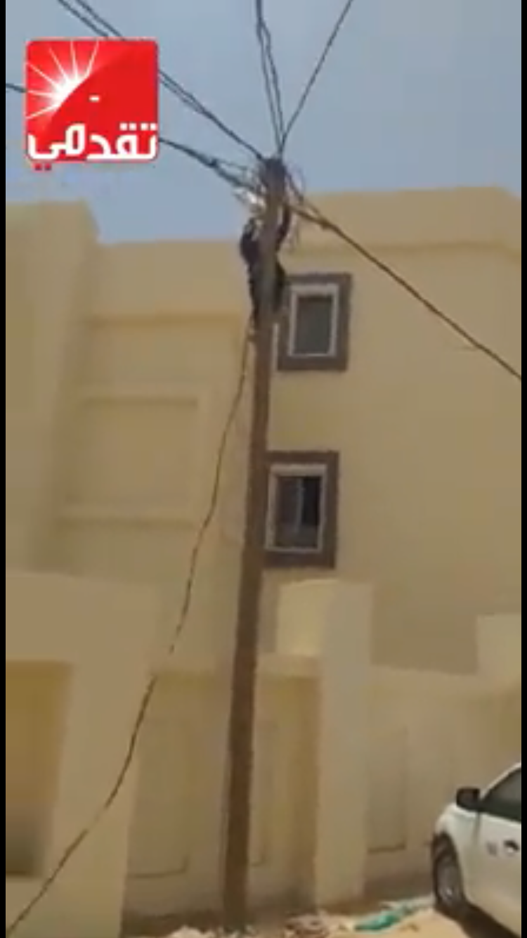 خاص العلم: 9 مواقع لولد عبد العزيز ضمنها مصانع كانت&nbsp;(…)