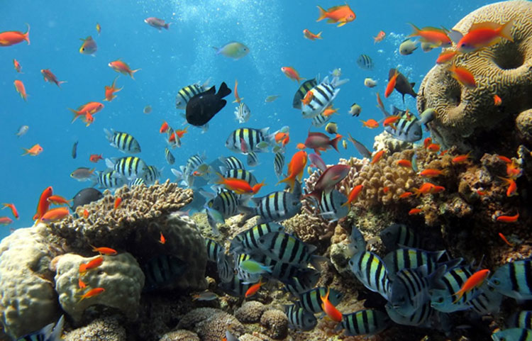 باحثون دوليون يحذرون: التنقيب في حقل الغاز بين موريتانيا&nbsp;(…)