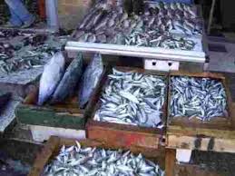 الجيش اللبناني يؤكد تسلمه لحمولة أسماك من دولة موريتانيا