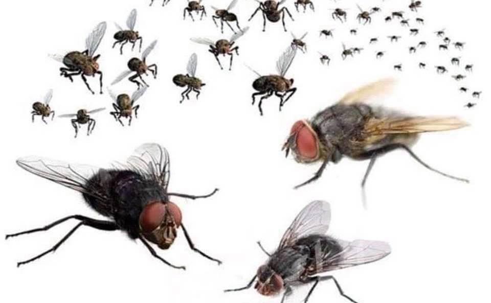 وزير سابق يدعو ولد عبد العزيز إلى إعلان كل منهما ثروته&nbsp;(…)