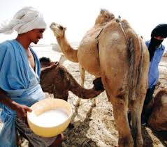 وزارتا الصحة والتنمية الريفية: هذه الإجراءات يجب الحرص&nbsp;(…)