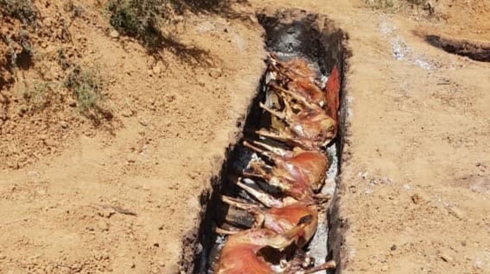 شاهد.. حفل شواء ضخم للقاعدة في مثلث الموت بمالي(صور)