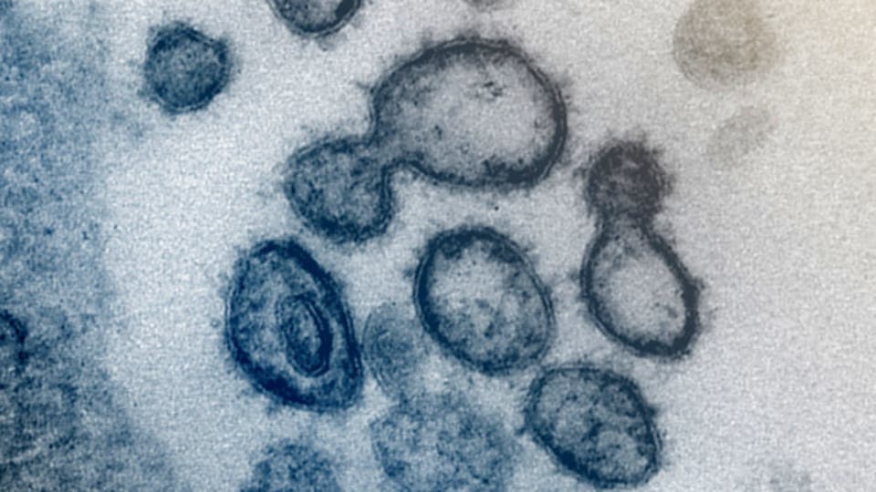 غيّر شكله بطفرة.. كورونا يراوغ والعالم عاجز