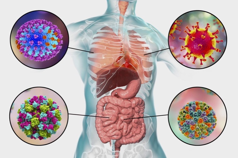دراسة: أخبار سيئة للمتعافين من كورونا.. مضاعفات الإصابة (…)