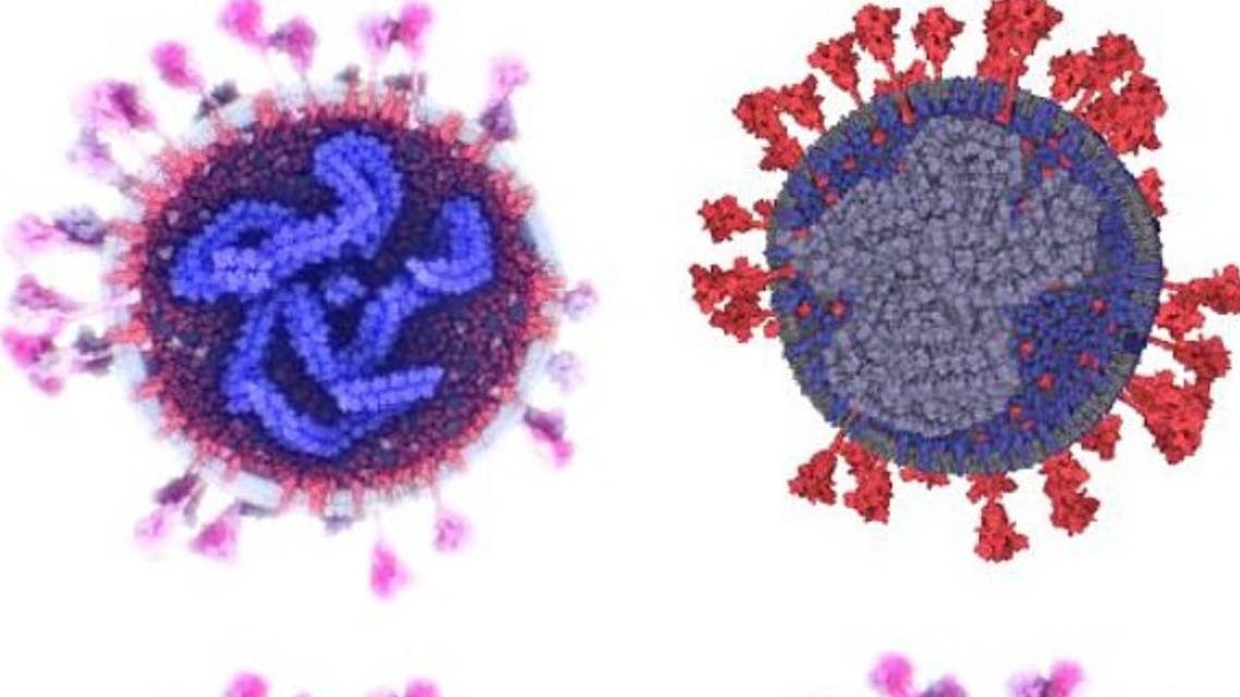 شاهد.. التصور الأكثر دقة وحداثة لفيروس كورونا