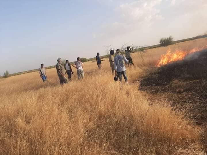 صور للحرائق التي التهمت أكثر من 80 كلم مربع من الأراضي&nbsp;(…)