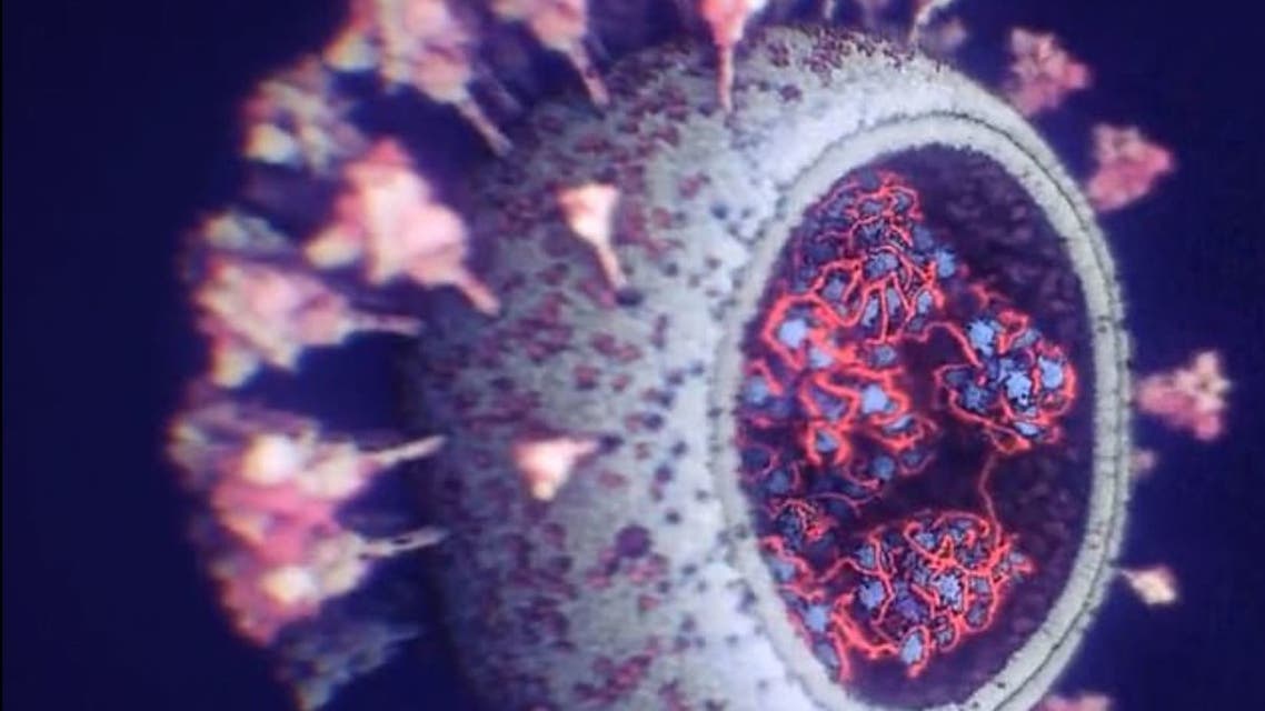 أكثر عدوى بكثير.. مصيبة عن 