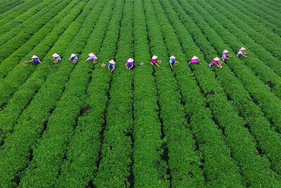 التحول الزراعي والصناعي صمام الأمان لمستقبل بلادنا