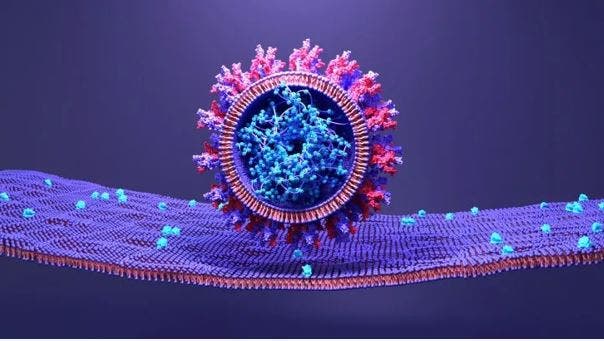 تحذير من هلاك الأرض