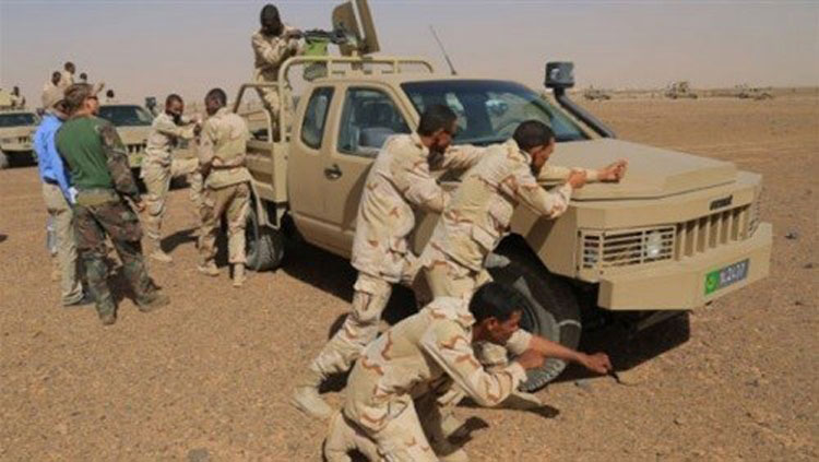 الأركان العامة للجيوش: بهذه الطريقة قتل الشيخ المسن من (…)