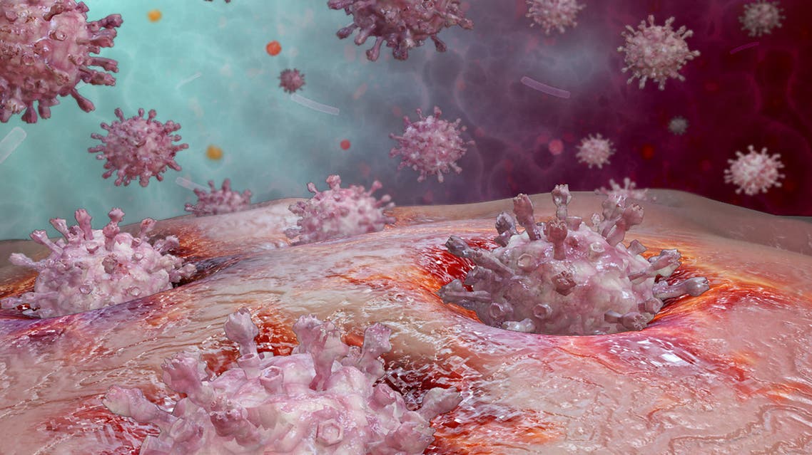 دراسة: السر في 