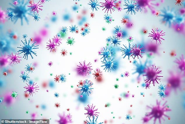 تحذير أممي: كورونا واحد من ملايين الفيروسات التي تهدد (…)