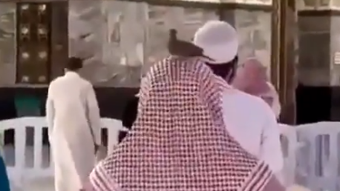 صورة حمامة على رأس مصلٍّ داخل الحرم المكي تخطف القلوب