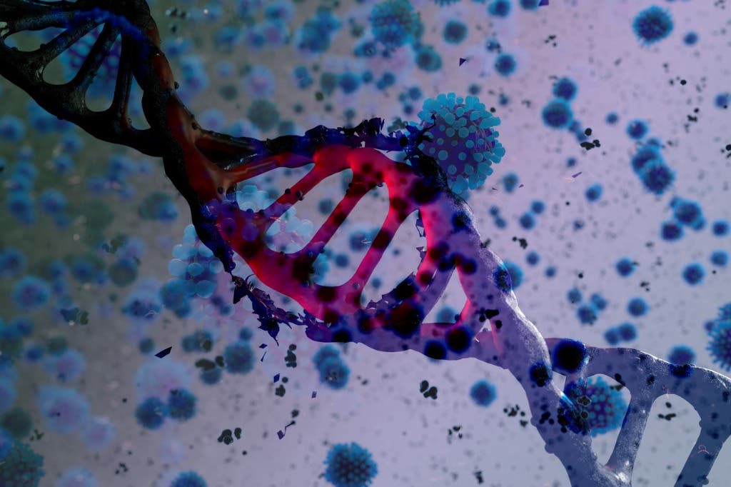 هؤلاء أكثر عرضة للإصابة مجدداً بكورونا بسبب 