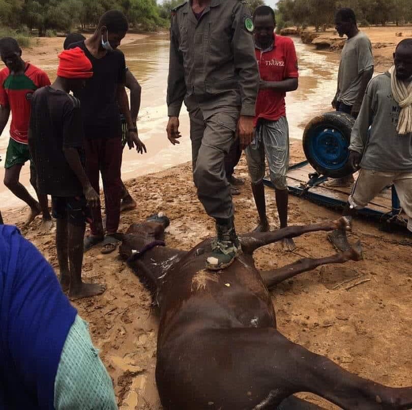 مصادر محلية: السيول تجرف أسرة موريتانية وتفقد رضيع&nbsp;(…)
