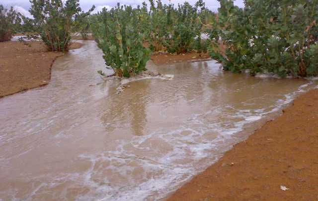 مقاييس أمطار البارحة