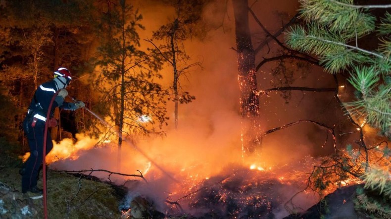 حرائق الجزائر: ارتفاع حصيلة ضحايا حرائق الغابات إلى 65&nbsp;(…)