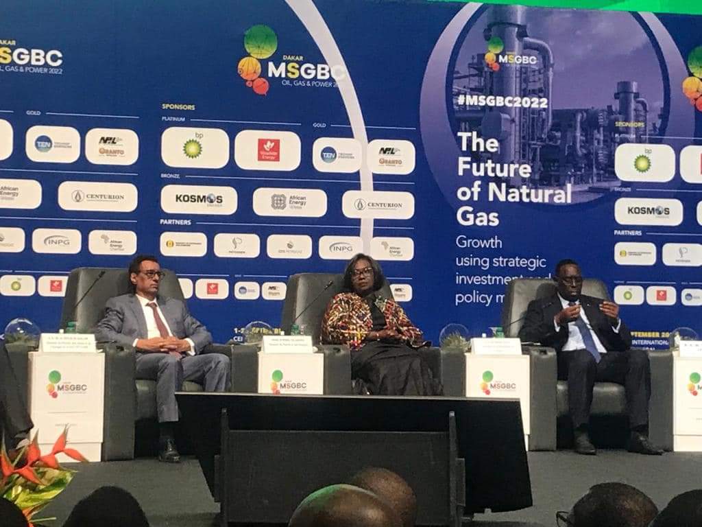 صورة وزير البترول والمناجم والطاقة الموريتاني يشارك في&nbsp;(…)