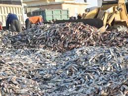 بعثة انتظرتها موريتانيا للتقييم البيئي: مفتشيون صحيون&nbsp;(…)