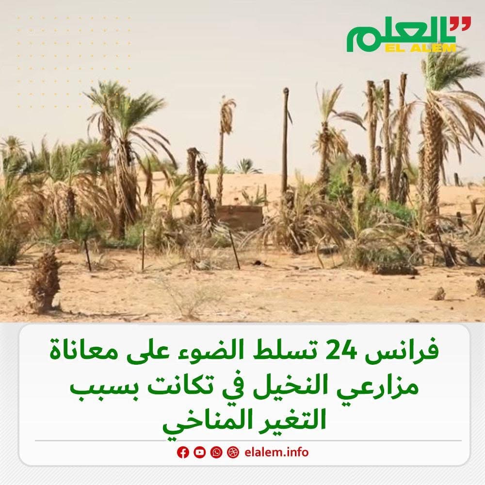 فرانس 24 تسلط الضوء على معاناة مزارعي النخيل في تكانت (…)