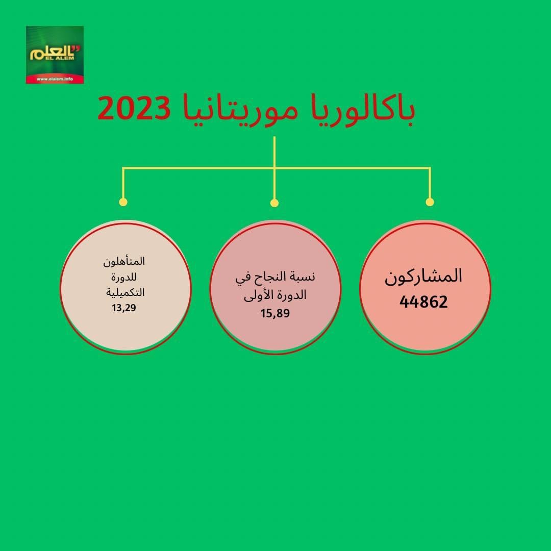 ارتفاع نسبة النجاح في الباكلوريا 2023